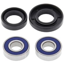 All Balls WBS Kit - Front TTR125 Disc Brake 2000-04