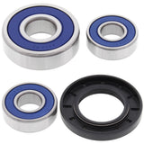 All Balls WBS Kit - Rear XV250 1995-02