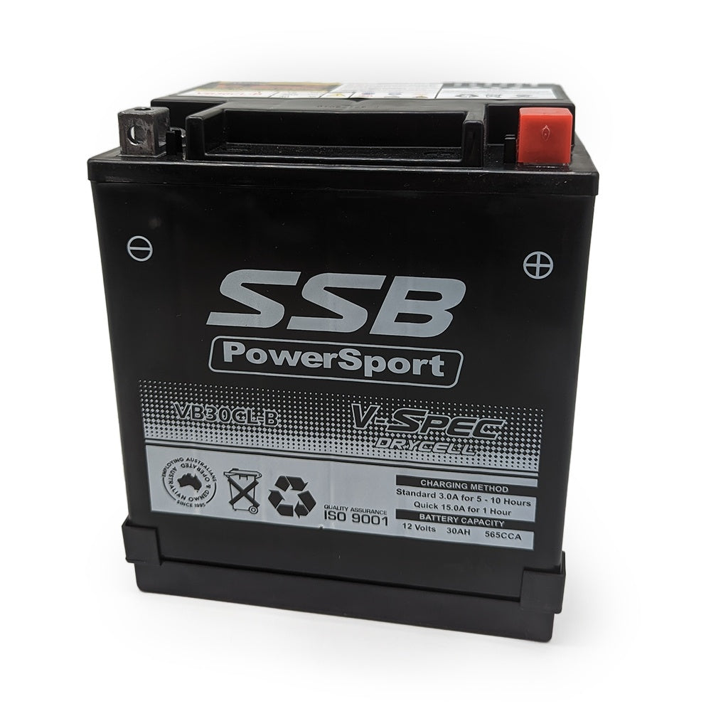 12V SSB V-Spec High Perform. AGM Battery (2) (CB30CL-B, CB30L-B, 53030, 12N24-3A, C60N24AL-B, C60N24L-A, C60N30AL-B,YIX30L) (9.9 Kg)