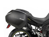 3P SYSTEM TRIUMPH TIGER 1050