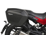 3P SYSTEM BENELLI LEONCINO 502