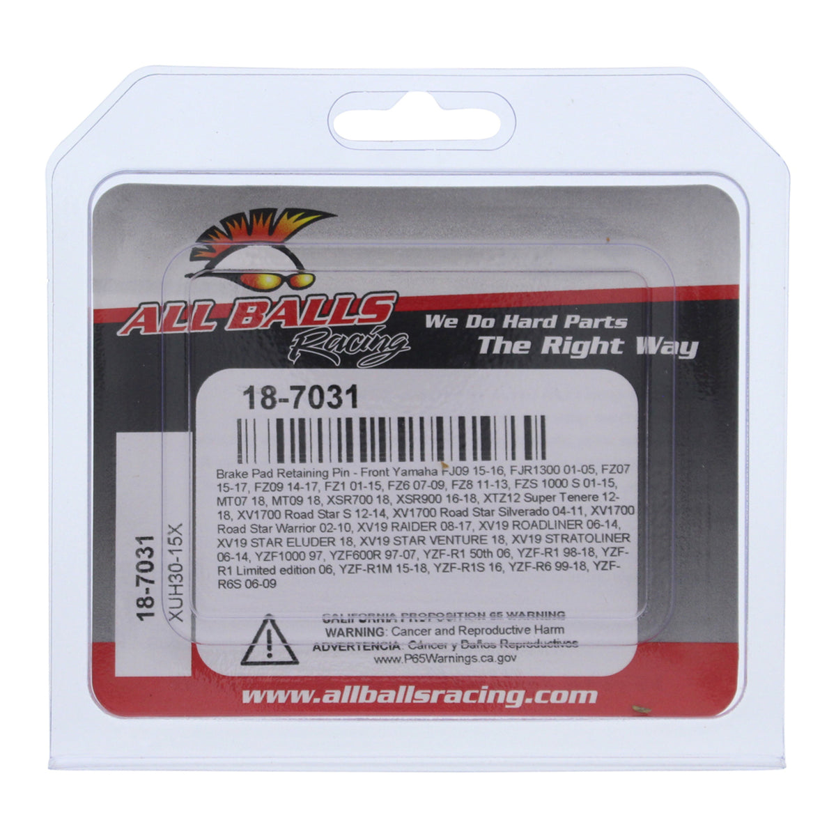 All Balls Racing Brake Pin Kit (18-7031)
