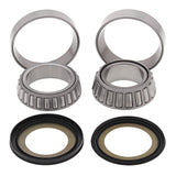 Steering Head Bearing & Seal Kit 22-1070