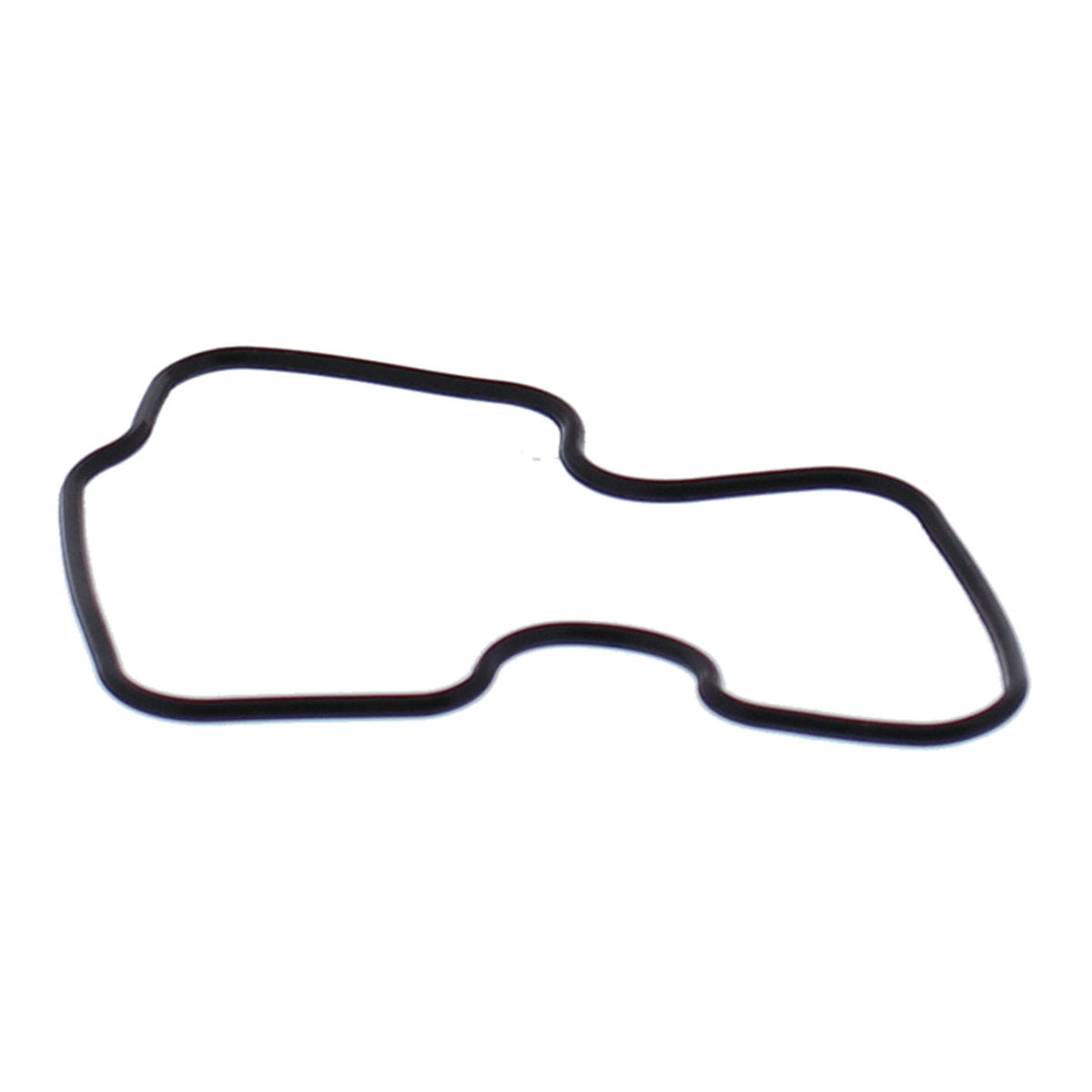Float Bowl Gasket – 46-5024