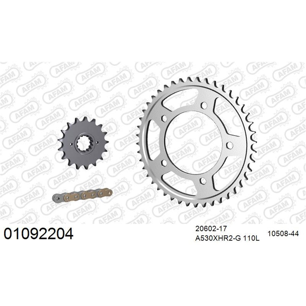 AFAM Chain Sprocket Kit Steel Honda CBR 1100 XX 1997-2008