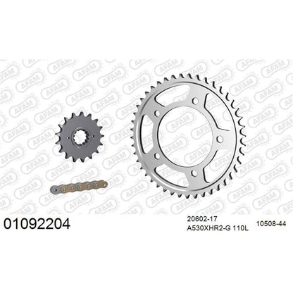 AFAM Chain Sprocket Kit Steel Honda CBR 1100 XX 1997-2008