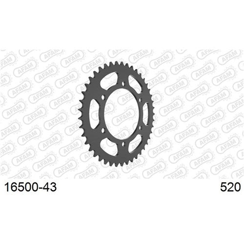 AFAM S43 Kaw Ninja 250-300
