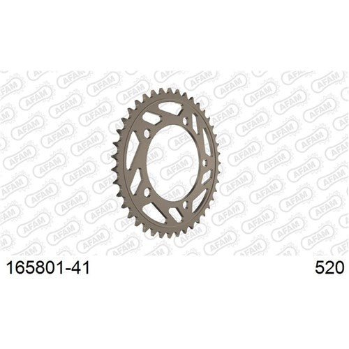 AFAM A41T 520 BMW S1000RR New
