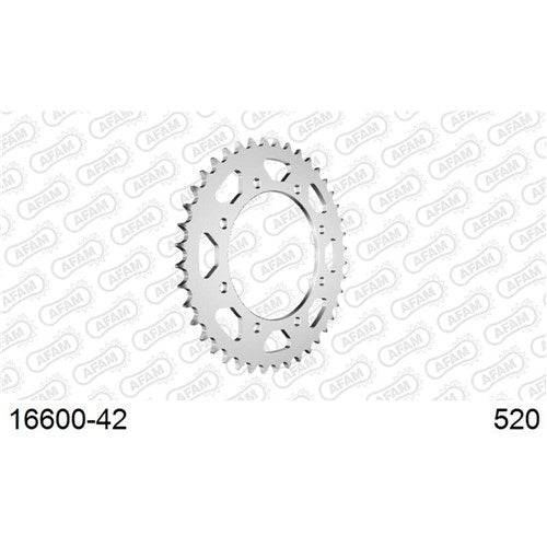 AFAM S42 520 KAWASAKI KLR650 95-