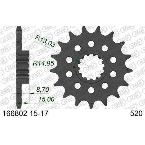 AFAM 17T 520 BMW S1000RR New