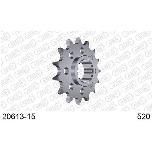 AFAM 15T CBR600 99- 520 CONVERSIO