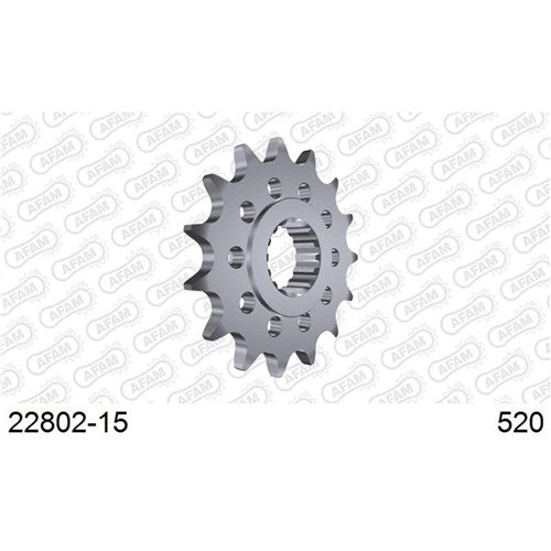 AFAM 15T 520 Conversion GSXR1000