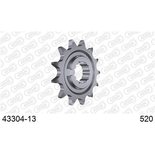 AFAM 13T 520 Sherco 2T