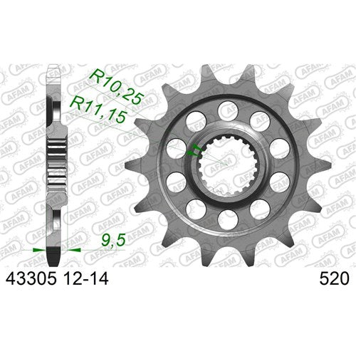 AFAM 13T 520 SHERCO ALL 2021-