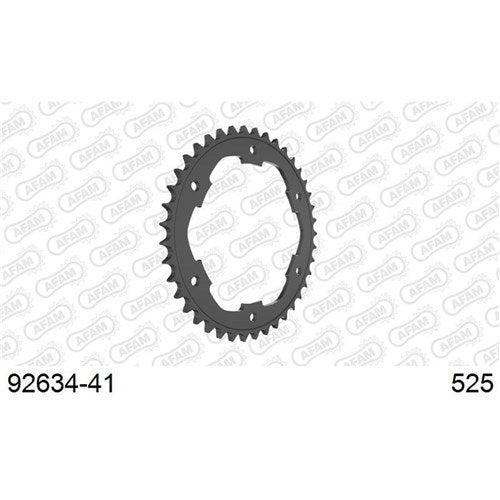 AFAM S41 BMW F650/800GS 2009