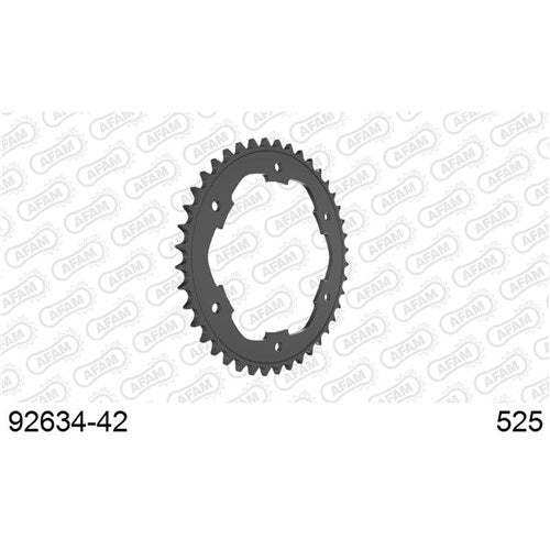 AFAM S42 BMW F650/800GS 2009