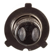 Globe 12V 35/35W H/L Three Pin Halogen (ea)
