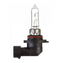 Globe 12V 60W H/L HB3 Plastic Base Halogen (ea)