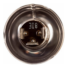 Globe 12V 35/35W H/L Halogen P45T-41 FZR250/400 (ea)