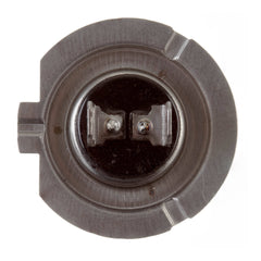 Globe 12V 55w H/L H7 Halogen (ea)
