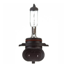 Globe 12V 45w H/L H10 Halogen (ea)