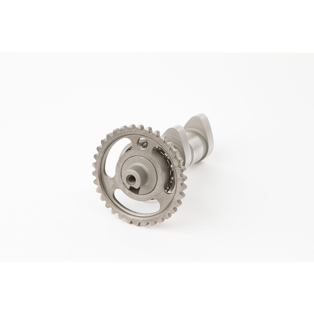 Camshafts SUZ LT-R450 06-09 Stage 1: Dual cam engine. Intake and exhaust cams sold seperately. Improved mid range gain with great top end gain and over rev.