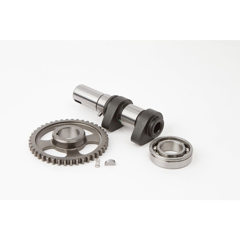 Camshafts POL OUTLAW500 06-07 Stage 1: Dual cam engine. Intake and exhaust cams sold separately. Excellent mid-range to top-end power increase