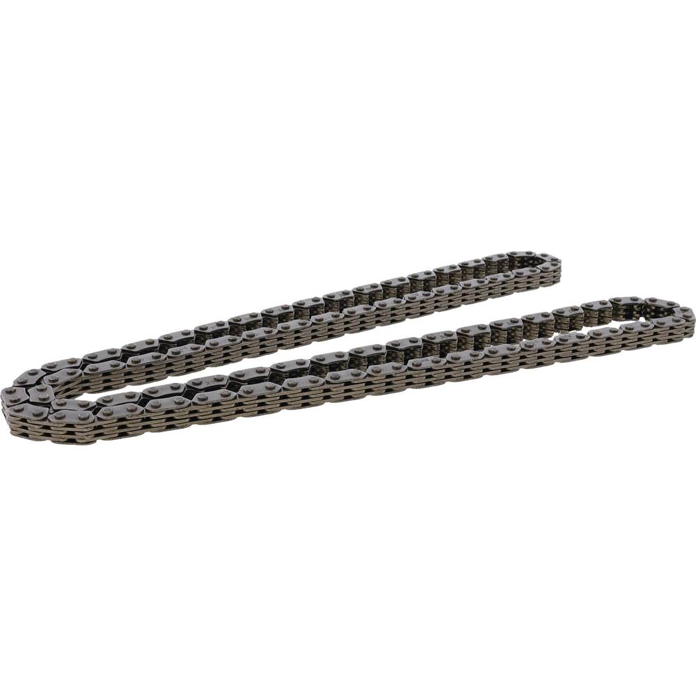 Cam Chain - Can Am