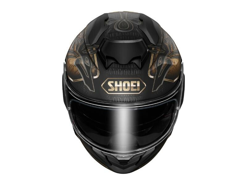 GT-AIR3 HELMET NILE TC-9