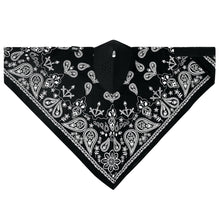 NEODANNAS BLACK PAISLEY