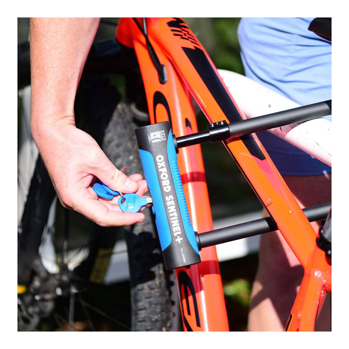 Oxford Sentinel Pro U-Lock 260mm X 177mm