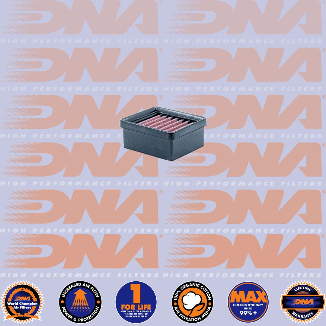 G 310 GS 17-24 & G 310 R 16-24 - DNA AIR FILTER - P-BM3N20-01