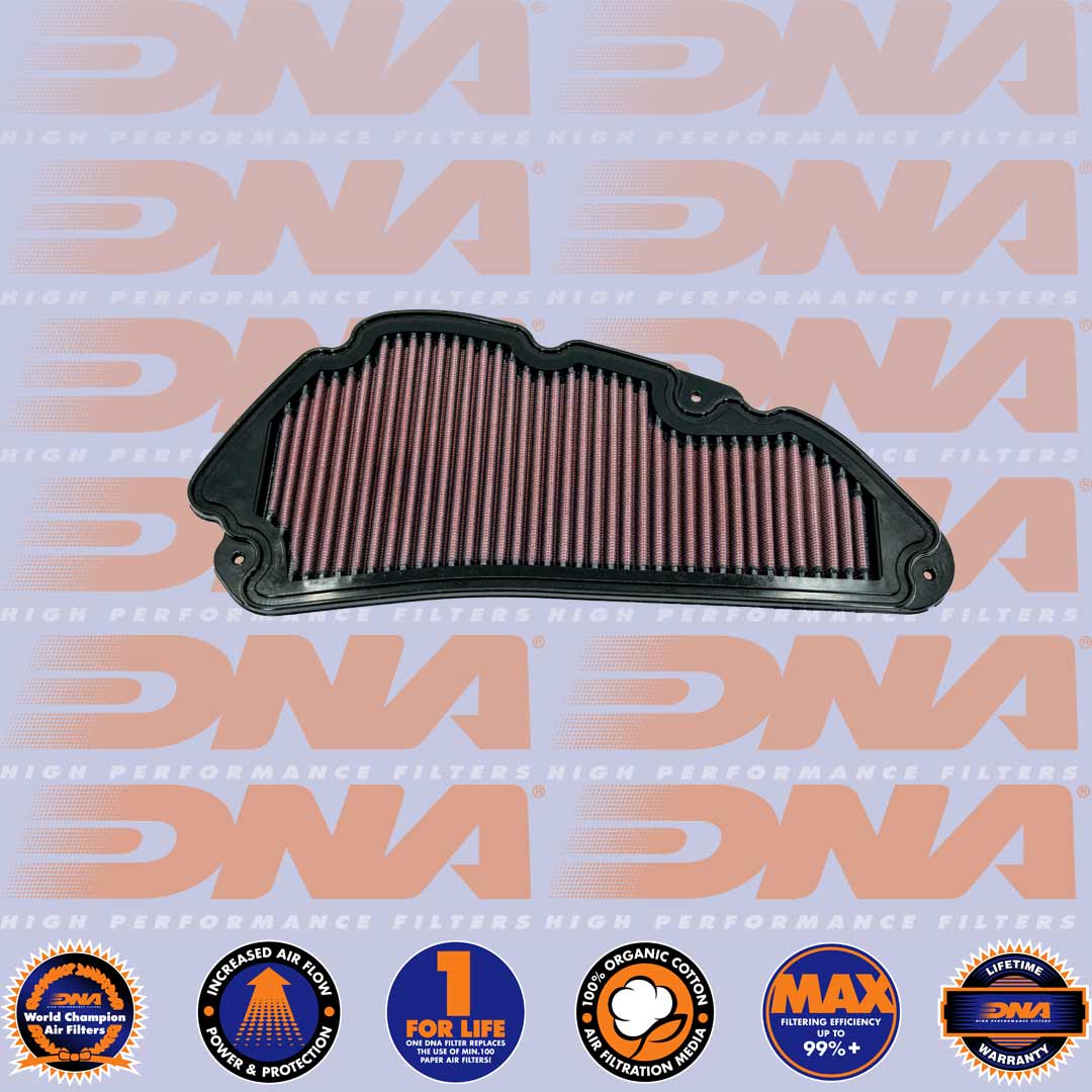 SH 150 17-21 - DNA AIR FILTER - P-H1SC21-01