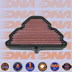 1200 TIGER ALL VARIANTS 22-25 - DNA AIR FILTER - P-TR12E22-01