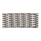 Premier Clutch Springs - Heavy Duty