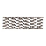 Premier Clutch Springs - Heavy Duty