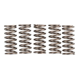 Premier Clutch Springs - Heavy Duty