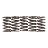 Premier Clutch Springs - Heavy Duty