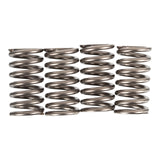 Premier Clutch Springs - Heavy Duty