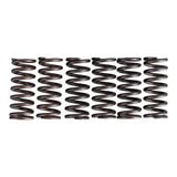 Premier Clutch Springs - Heavy Duty