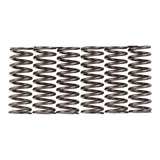 Premier Clutch Springs - Heavy Duty