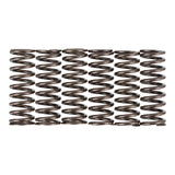 Premier Clutch Springs - Heavy Duty