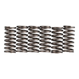 Premier Clutch Springs - Heavy Duty