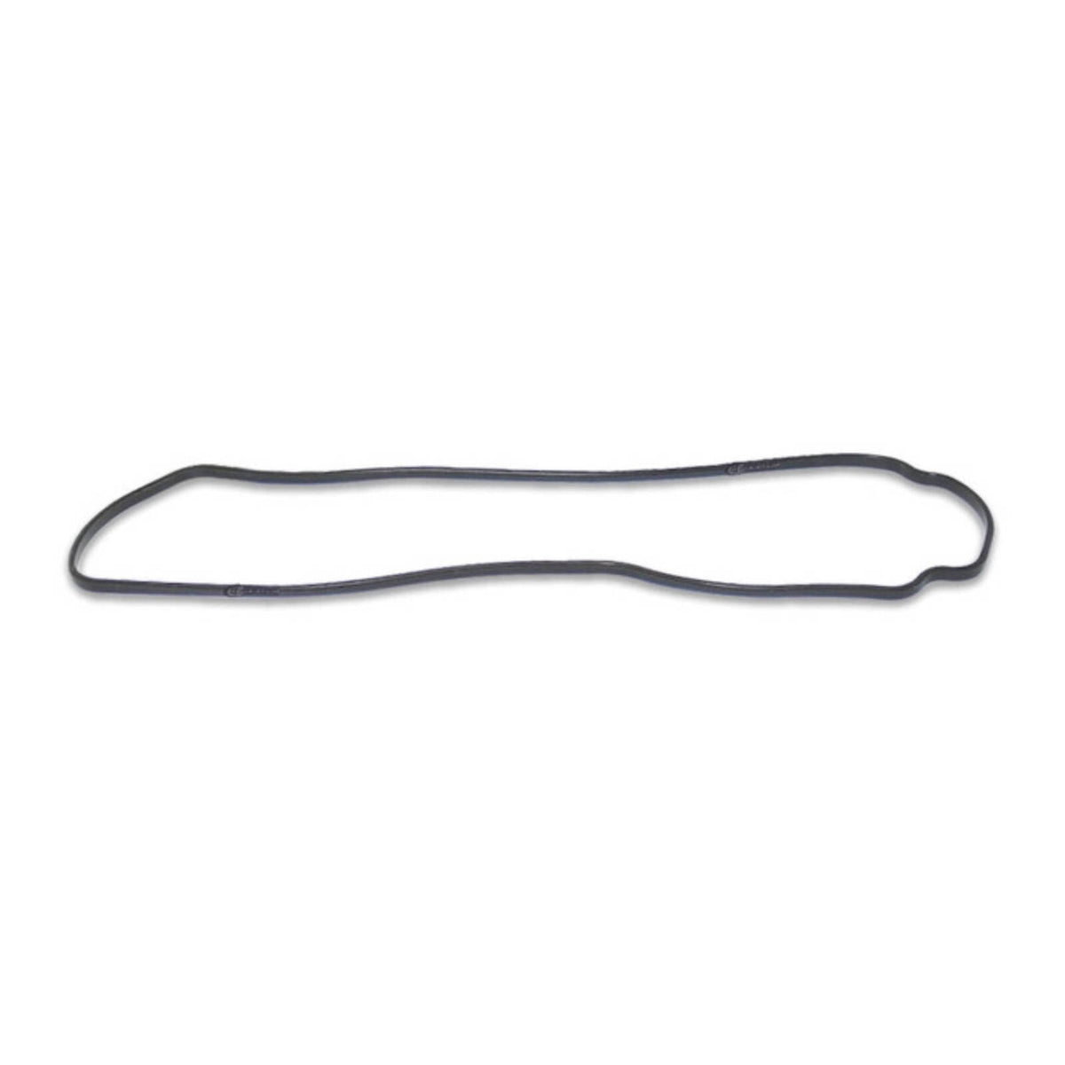 Quantum Fuel Pump Seal Gasket