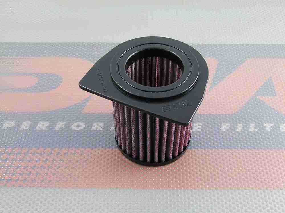 CBF 250 06-09 - DNA AIR FILTER - R-H2N06-01