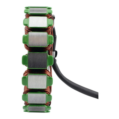 RM Stator Generator Stator Aprilia Models (RMS010-106004)