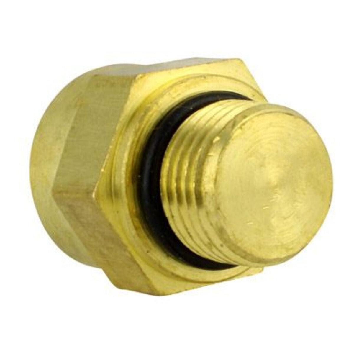 RM Temperature Sensor Assorted Pol Models (Refer to Fitments) (RMS140-107956)