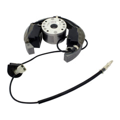Stator + Rotor + Ignition Coil Kit (RMS900-107608)
