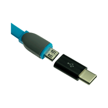 PA025 Micro USB to Type C