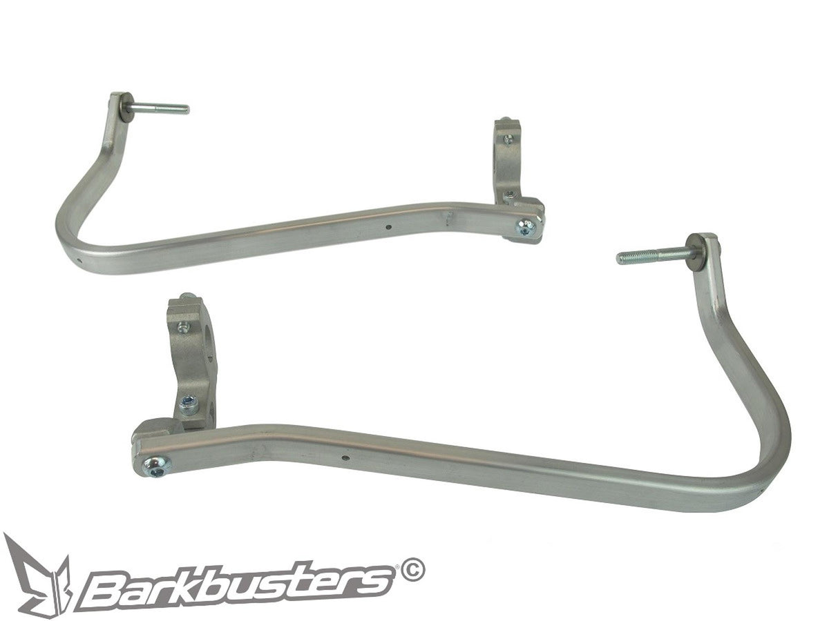 HARDWARE KIT - TWO POINT MOUNT: 
BMW G310GS ('17